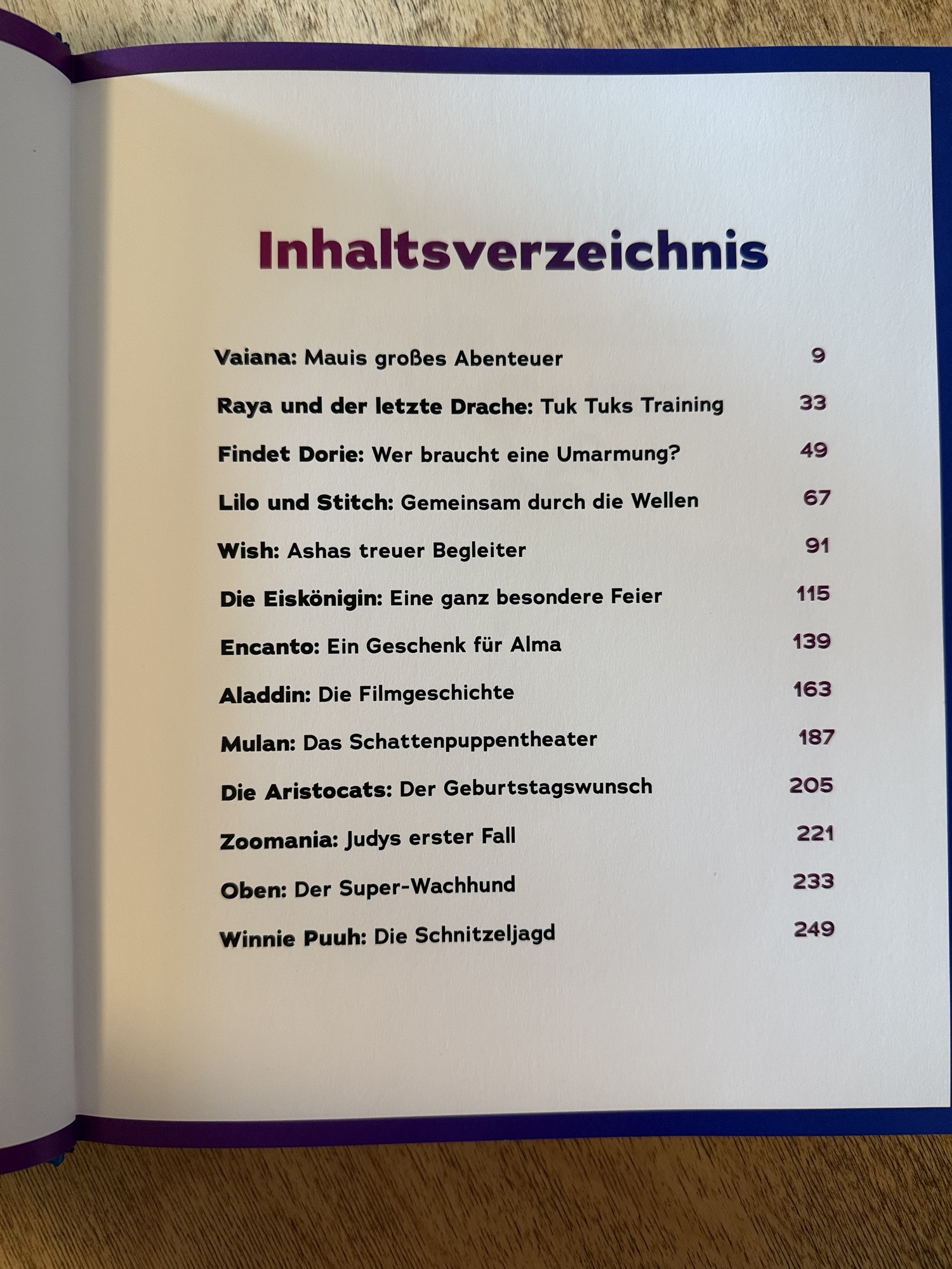 Inhaltsverzeichnis mit verschiedenen Kapiteln und Seitenzahlen in einem Buch.