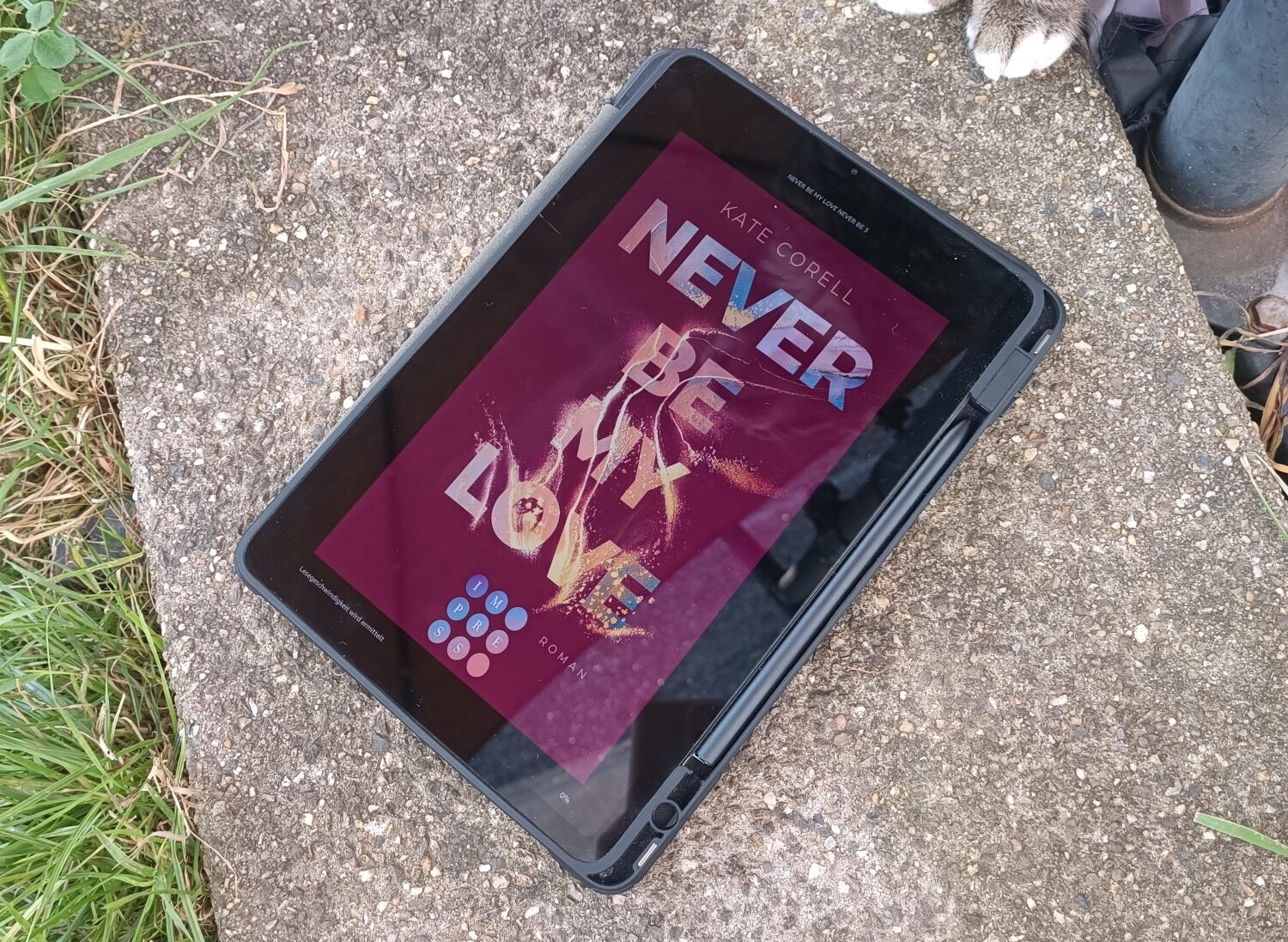 E-Book Cover mit dem Titel 'Never Be Mix Love' von Kate Copell auf einem Tablet.